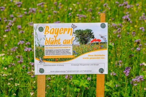 Plaque with inscription Bavaria is blooming
