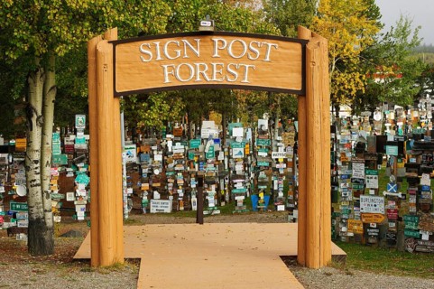 Sign Post Forest