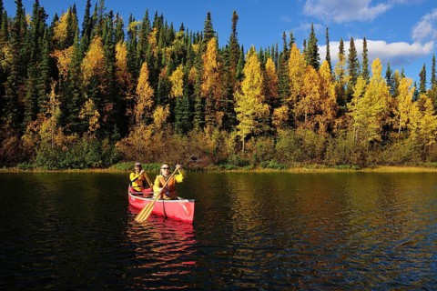 Couple canoeing in lake