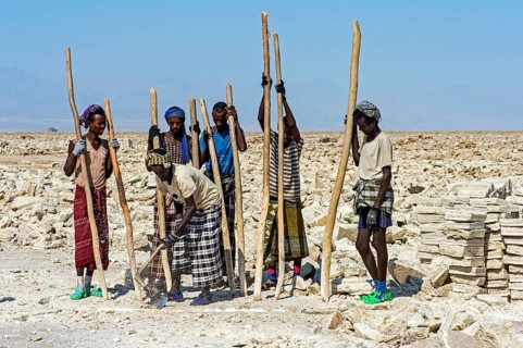 Traditional mining of salt at the Assale Salt Lake