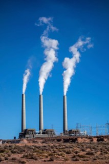 Steaming vents