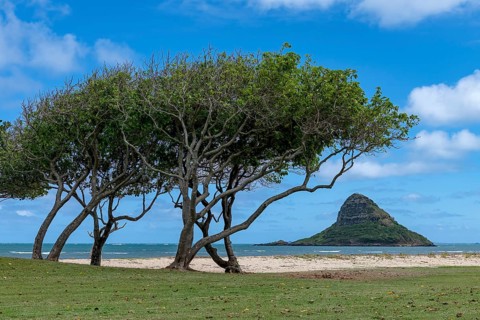 Chinaman's Hat