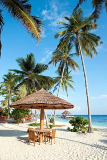 Stranbdar with parasol on the beach with (Cocos nucifera)