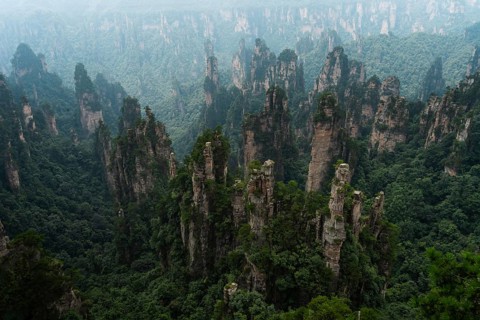 Avatar Mountains in fog