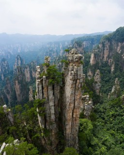Avatar Mountains in fog