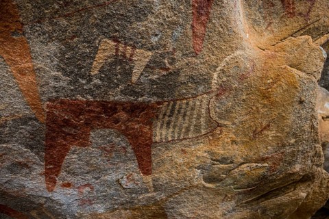 Cave paintings in Laas Geel caves