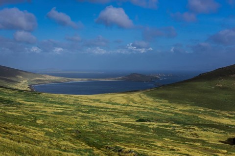 Landscape on Carcass Island
