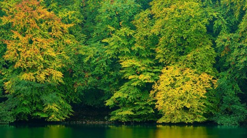 View of the lake Schmaler Luzin in the Feldberger Seenlandschaft in autumn