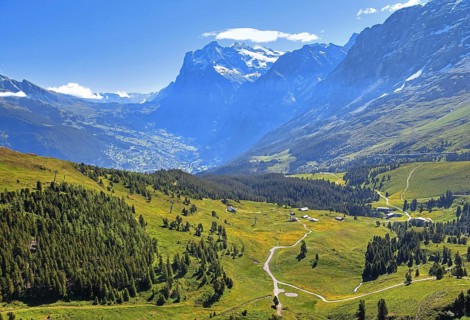 Mountain meadows on the Kleine Scheidegg with Wetterhorn above Grindelwald