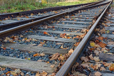 Railway rails with foliage