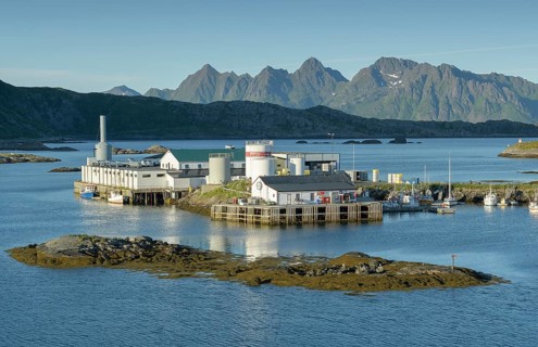 Fishing company in Svolvaer