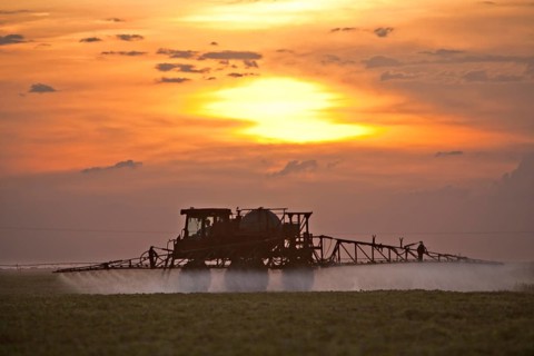 Tractor Sprays Pesticide on Cotton Fields near Luis Eduardo Magalhaes