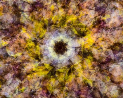 Autumn mosaic