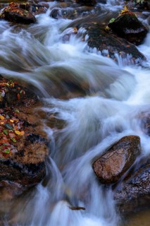 Autumn on the river Ilse in the Harz Mountains