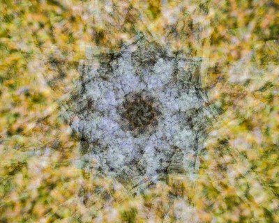 Autumn mosaic