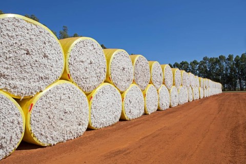 Stacks of cotton in Mato Grosso state