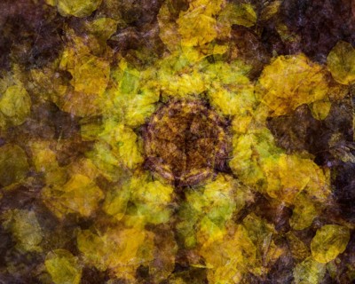 Autumn mosaic