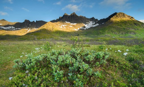 Mountain tops with green slopes