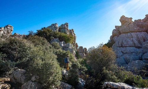 Rock formations of limestone