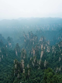 Avatar Mountains in fog