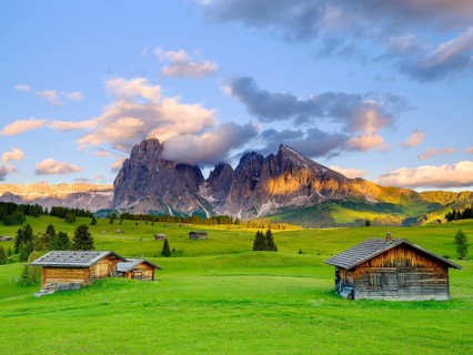 Alpe di Siusi mountain pasture