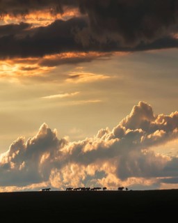 Mongolian steppe. Khentii province