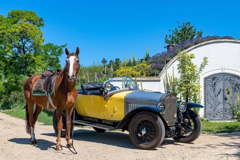 Oldtimer Delage DISS