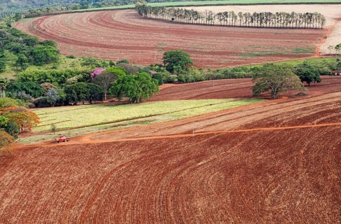Aerial View of Farm with Harvested Sugarcane Crops