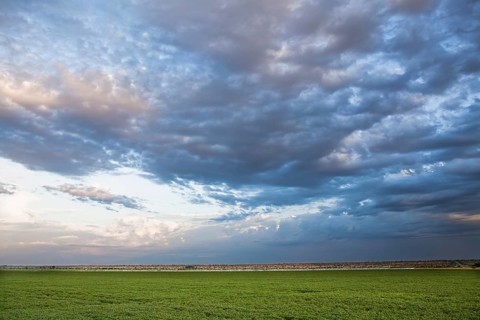 Soybean Crops at sunset near Luis Eduardo Mahalhaes