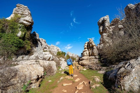 Young man on a hiking trail
