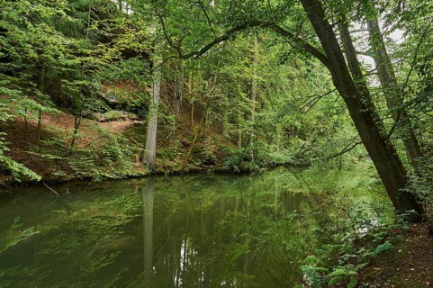 River Schwarzach
