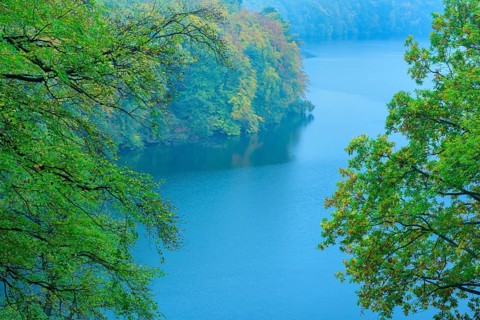 View from the high shore to the lake Schmaler Luzin in the Feldberger Seenlandschaft