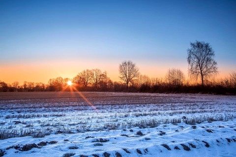 Sunrise