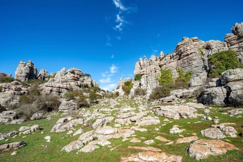 Rock formations of limestone