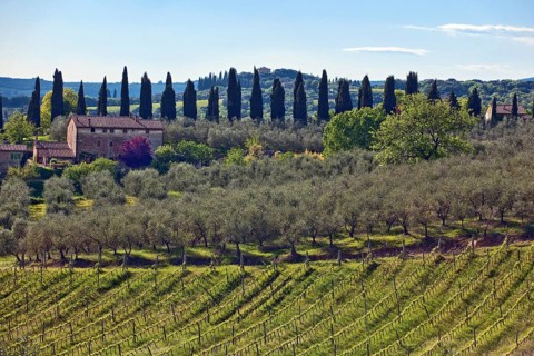 Landscape of Tuscany