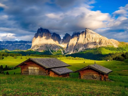 Alpe di Siusi mountain pasture
