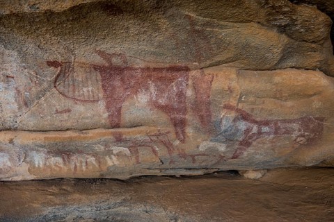 Cave paintings in Lass Geel caves