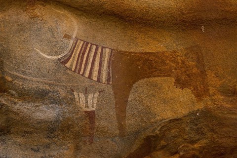 Cave paintings in Laas Geel caves