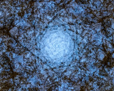 Autumn mosaic