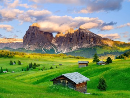 Alpe di Siusi mountain pasture