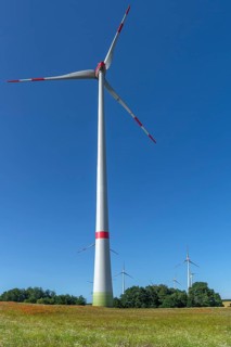 Wind turbines in blooming meadows