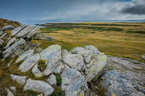 Landscape on Carcass Island