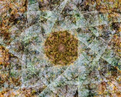 Autumn mosaic