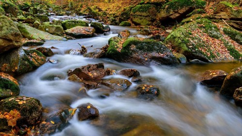 Autumn on the river Ilse in the Harz Mountains