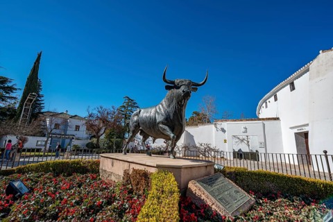 Bull figure