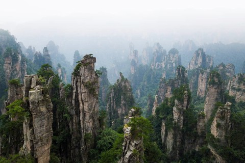 Avatar Mountains in fog