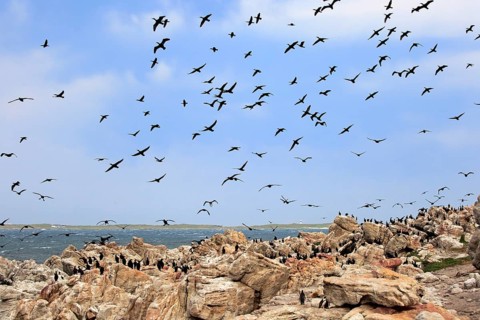 Stony Point Nature Reserve