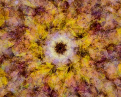 Autumn mosaic