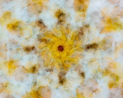 Autumn mosaic