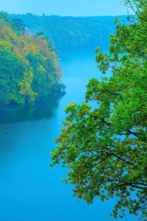 View from the high shore to the lake Schmaler Luzin in the Feldberger Seenlandschaft